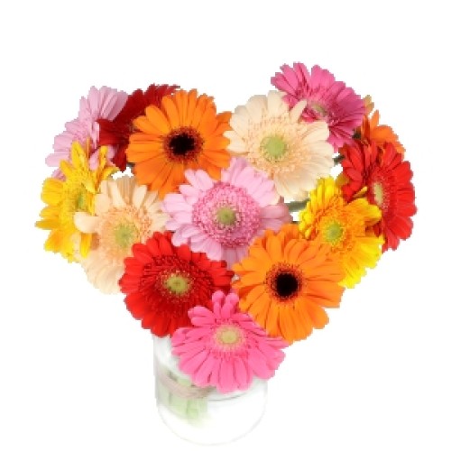 Heart bouquet small mixed gerbera (Heart bouquet approx. 15 mixed gerberas)